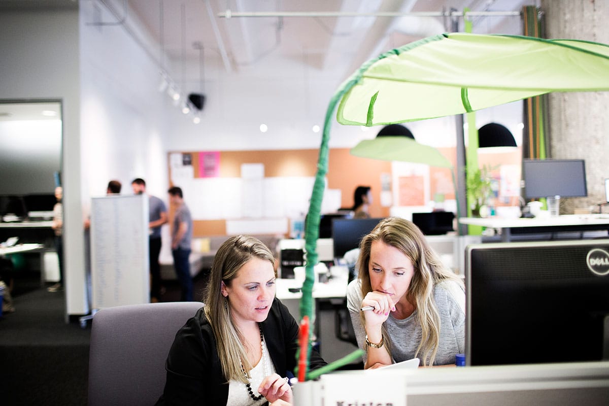 WordPress Maintenance Tier 4 - Ecommerce